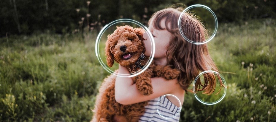 Samsung QE50QN80F QLED AI upscaling